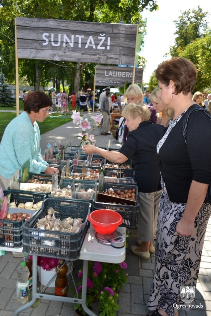 Ogres pilsētas svētki 2013