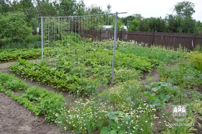 Konkurss "Sakārtotākais namīpašums 2012"