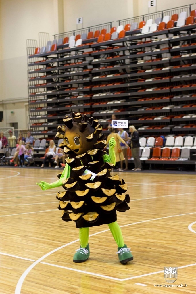 Ogres novada sportistiem visu kalumu godalgas