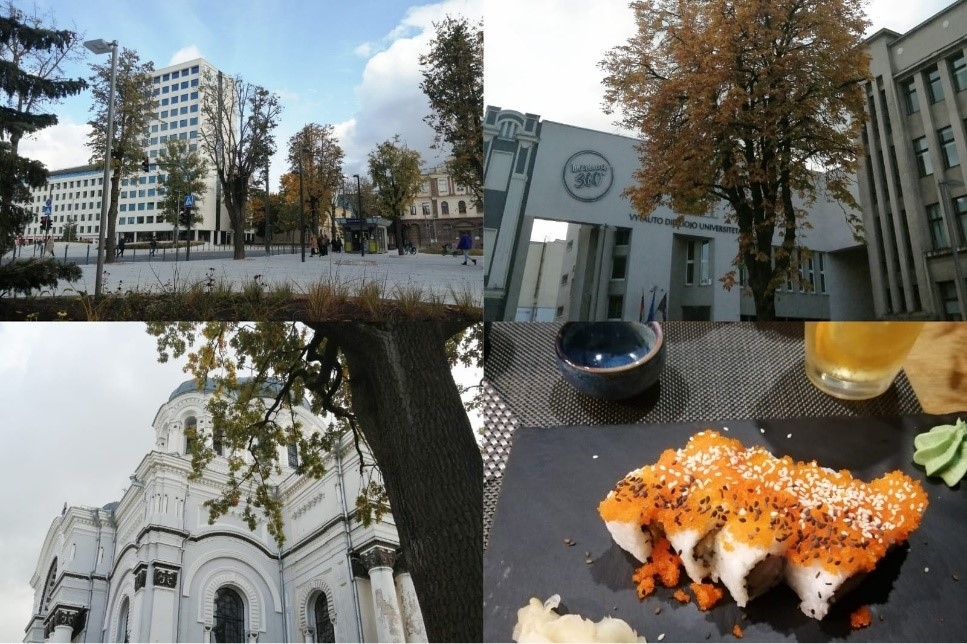 Ogres Valsts  ģimnāzijas skolēni un skolotāji turpina savu Erasmus+ projektu maratonu