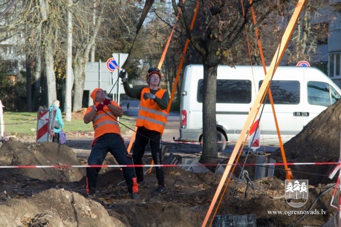 Parka ielas ozoli ceļo uz jaunu mājvietu