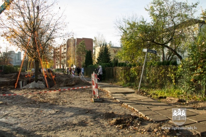 Parka ielas ozoli ceļo uz jaunu mājvietu