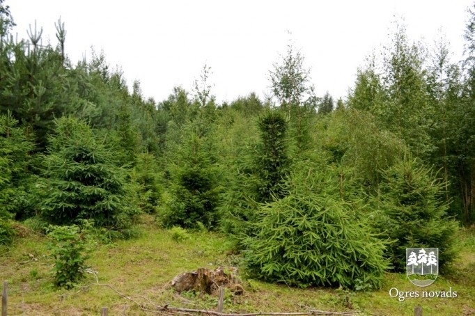 Konkurss "Sakārtotākais namīpašums 2012"