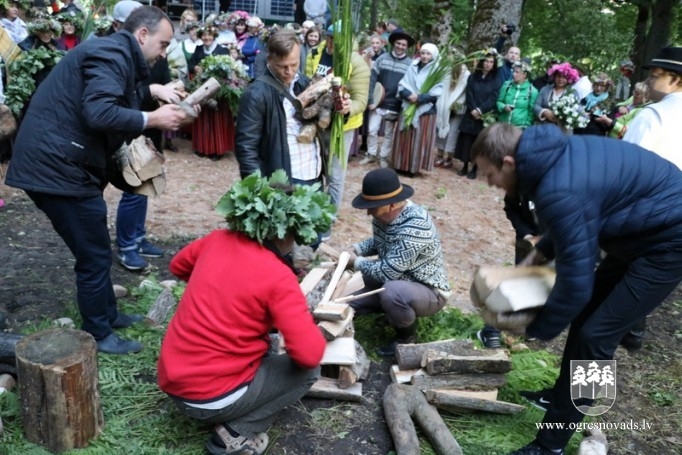 Vasaras saulgrieži Plāteres pilskalnā