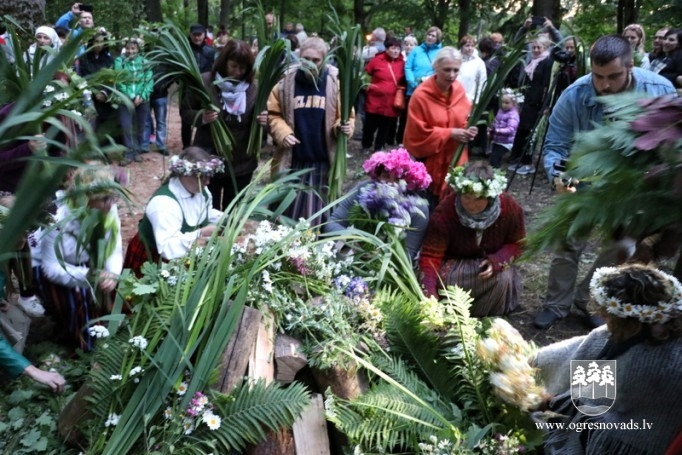 Vasaras saulgrieži Plāteres pilskalnā