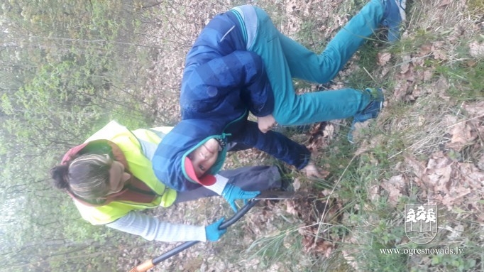 Ogrēnieši iestādījuši 5000 priedes (16.05.2020.)
