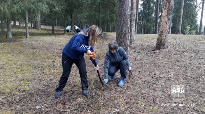 Ogrēnieši iestādījuši 5000 priedes (16.05.2020.)