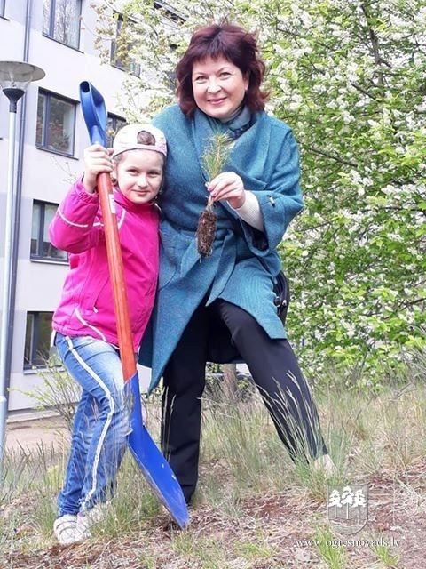 Ogrēnieši iestādījuši 5000 priedes (16.05.2020.)