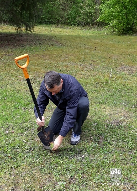 Ogrēnieši iestādījuši 5000 priedes (16.05.2020.)
