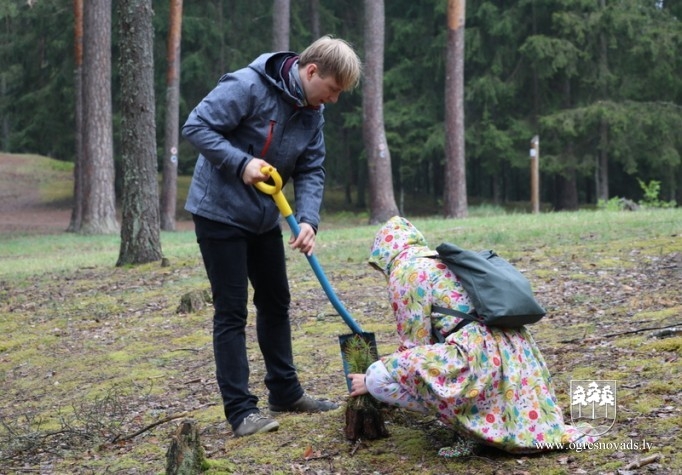 Ogrēnieši iestādījuši 5000 priedes (16.05.2020.)