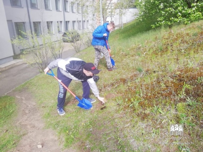 Ogrēnieši iestādījuši 5000 priedes (16.05.2020.)