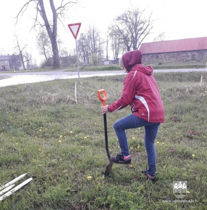 Priedītes iestādītas arī novada pagastos (16.05.2020)