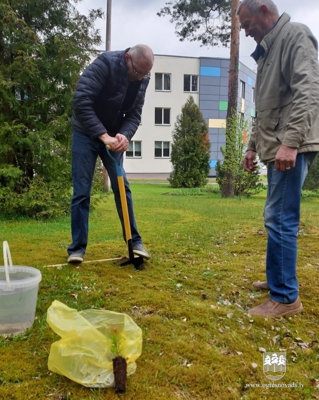 Ogrēnieši iestādījuši 5000 priedes (16.05.2020.)