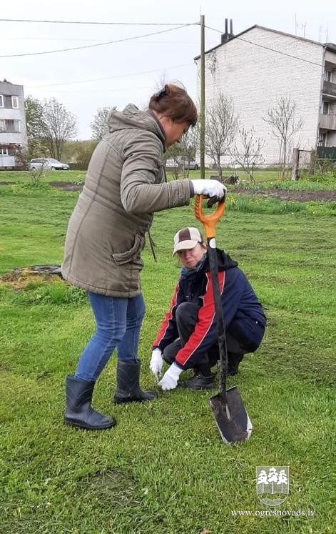 Priedītes iestādītas arī novada pagastos (16.05.2020)