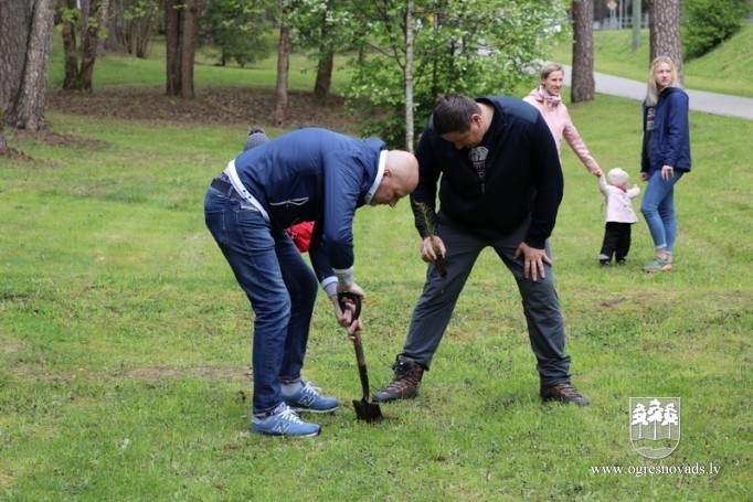 Ogrēnieši iestādījuši 5000 priedes (16.05.2020.)