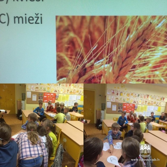 Starptautiskā putras diena 2015 Ogres sākumskolā