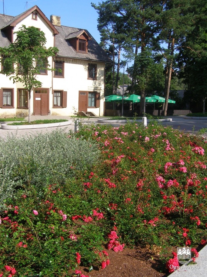 Rozes Brīvības ielā
