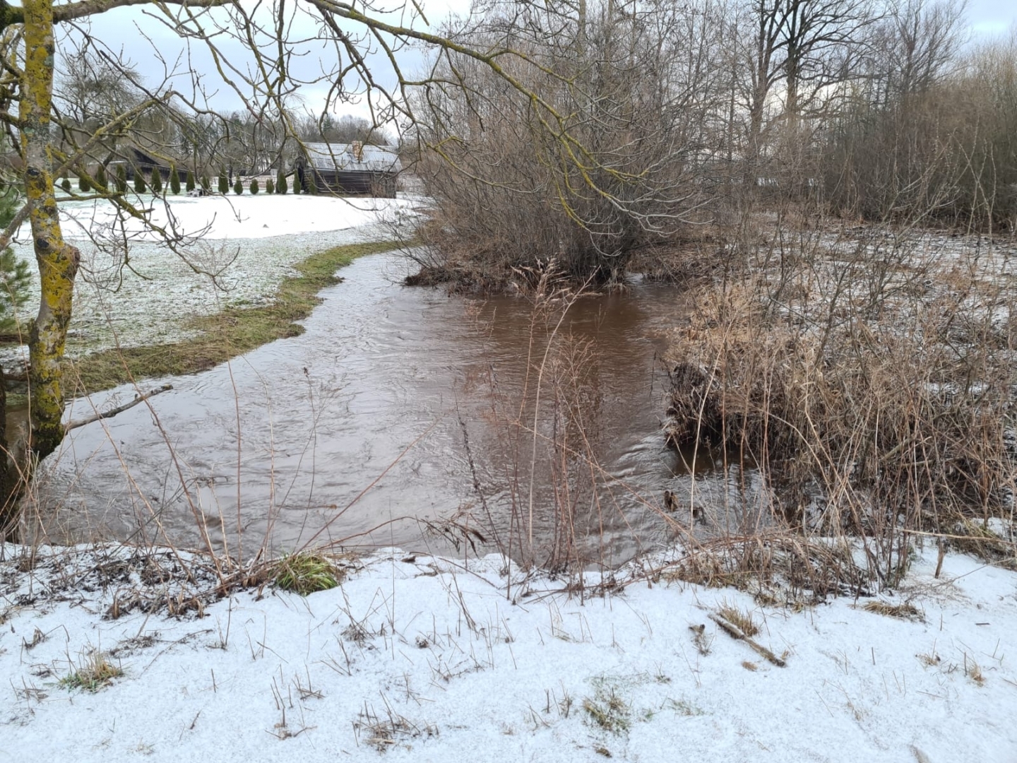 Rumbiņa, Lielvārde, 17.02.2022.