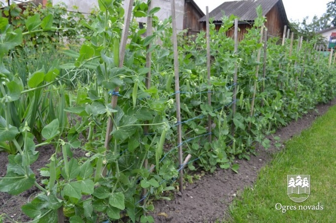 Konkurss "Sakārtotākais namīpašums 2012"