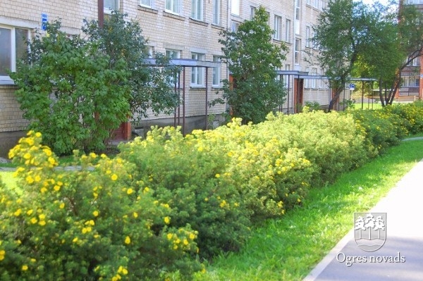 Noteikti sakoptākie daudzdzīvokļu māju pagalmi
