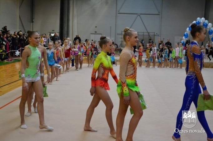 Turnīrs mākslas vingrošanā "Sniegpārsliņas kauss 2014"