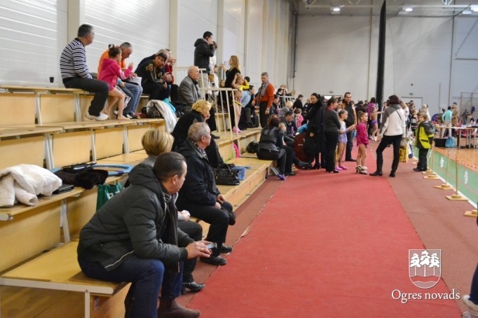 Turnīrs mākslas vingrošanā "Sniegpārsliņas kauss 2014"