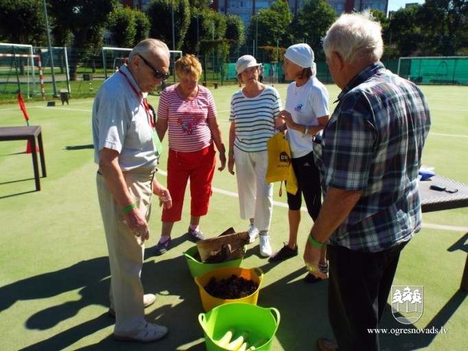 Aizvadīti Ogres pensionāru biedrības sporta svētki