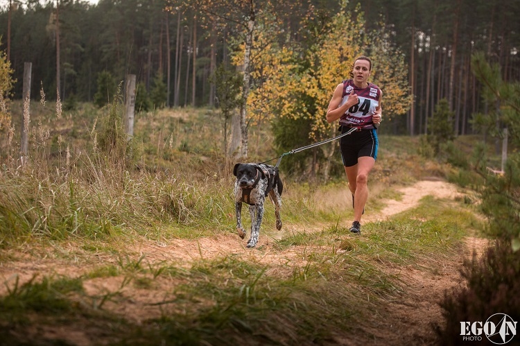 Suņu sporta sacensības