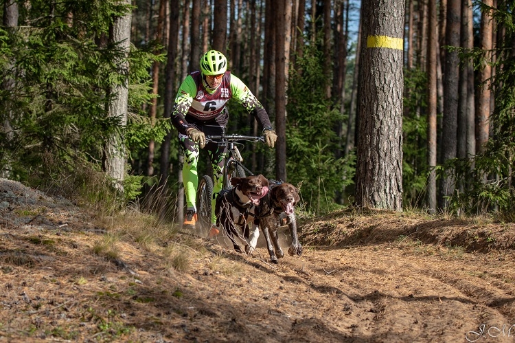 Suņu sporta sacensības