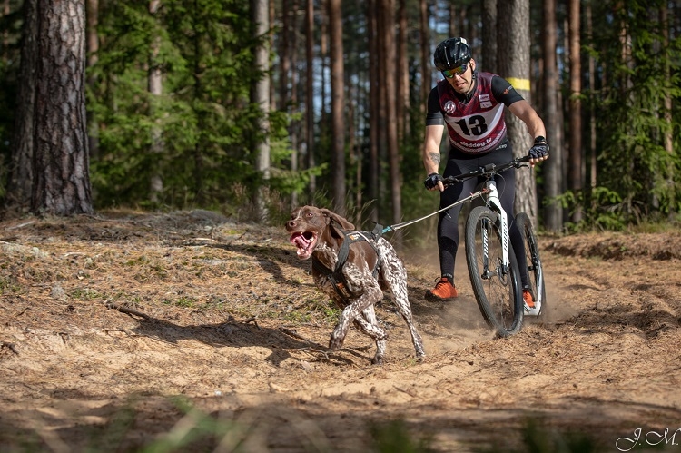 Suņu sporta sacensības