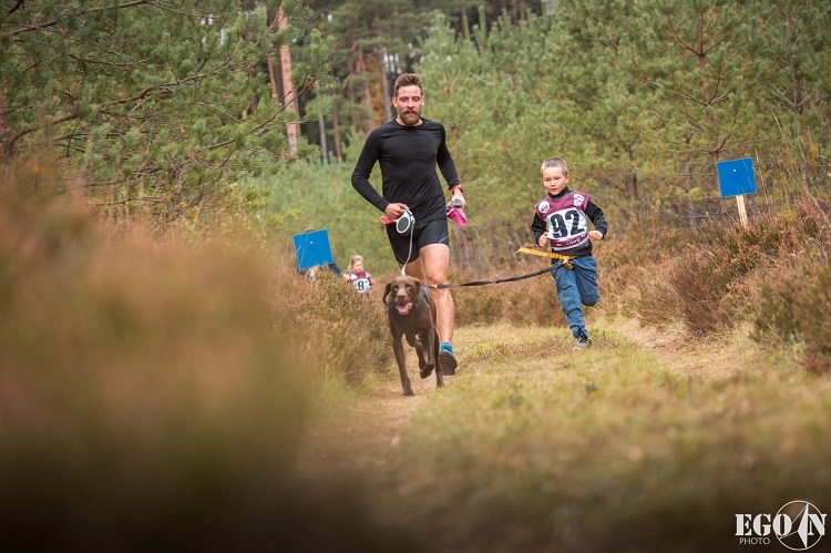 Suņu sporta sacensības