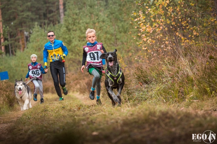 Suņu sporta sacensības