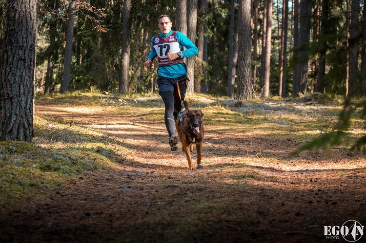 Suņu sporta sacensības