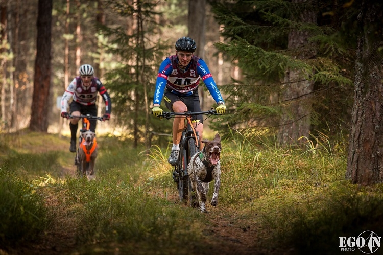 Suņu sporta sacensības