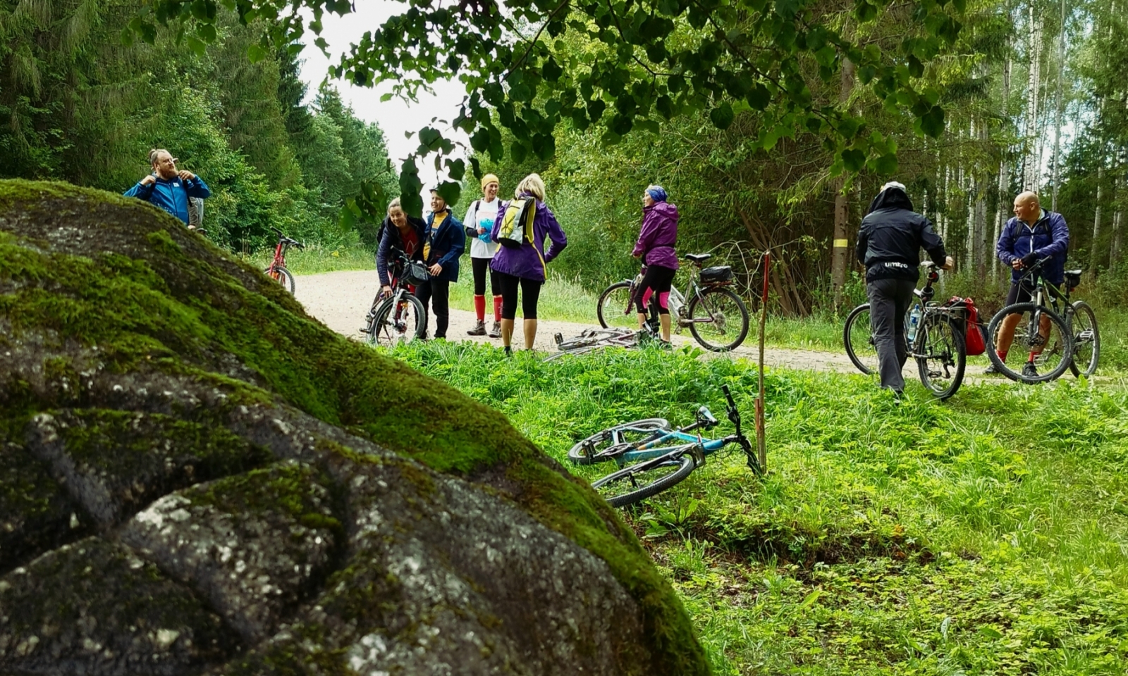 Velobraucēji pie Vangusalu Dīnamarkas akmens