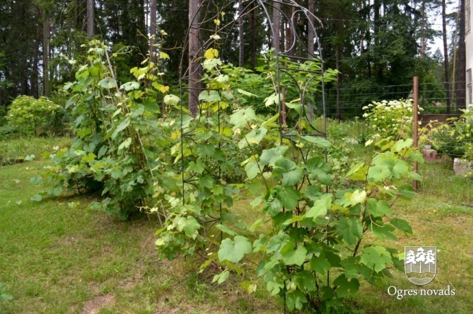 Konkurss "Sakārtotākais namīpašums 2012"