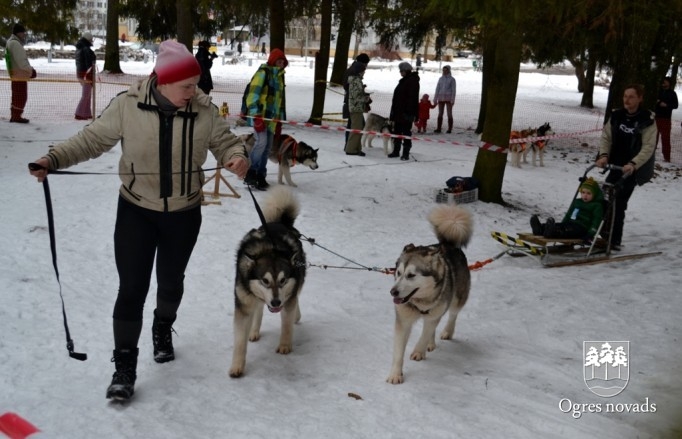 Ziemas Sporta svētki 2013