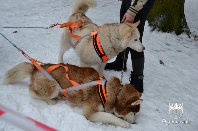 Ziemas Sporta svētki 2013