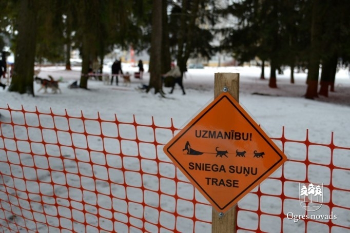 Ziemas Sporta svētki 2013