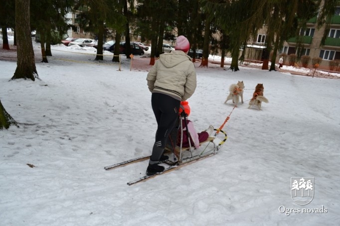 Ziemas Sporta svētki 2013