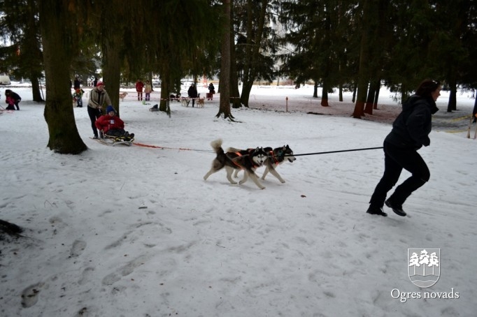 Ziemas Sporta svētki 2013