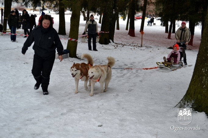 Ziemas Sporta svētki 2013