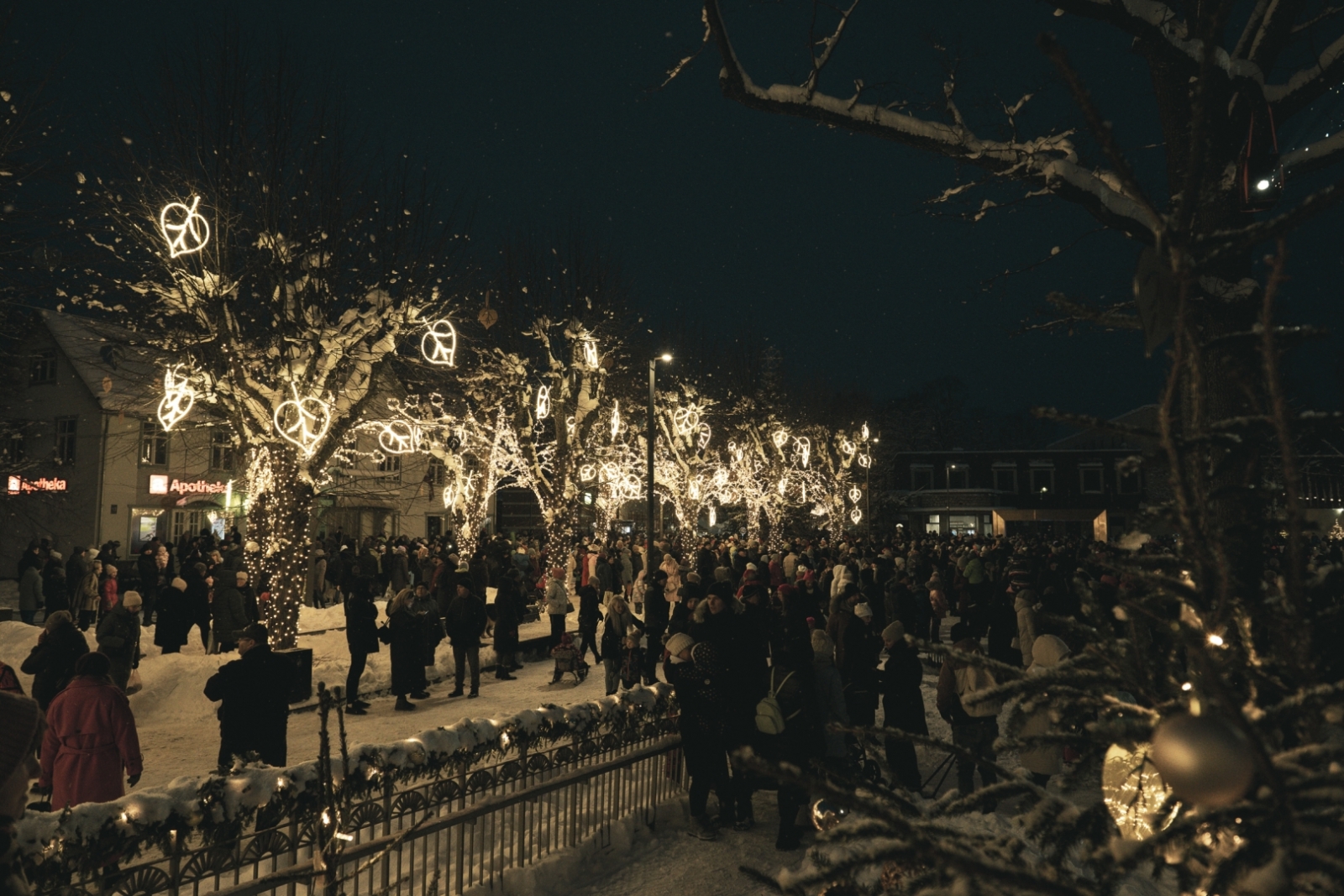 Ziemassvētku egles iedegšana Ogrē 03.12.2023.