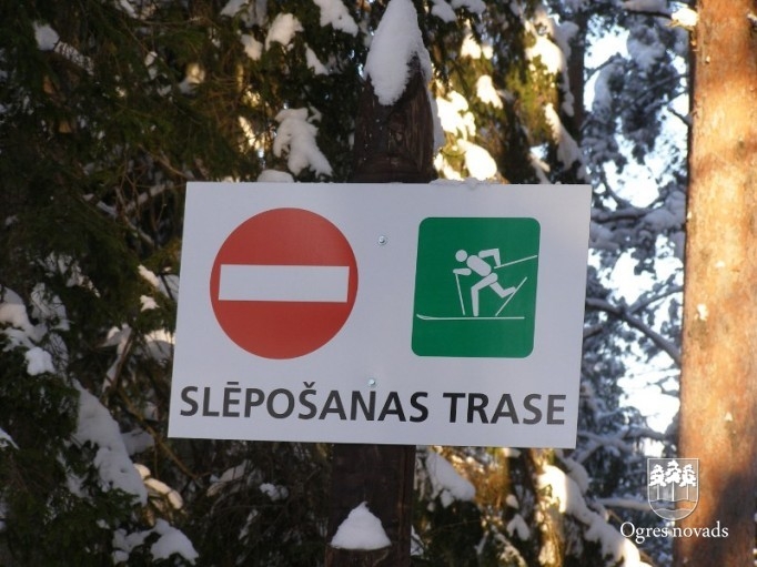 Zilie kalni ziemā