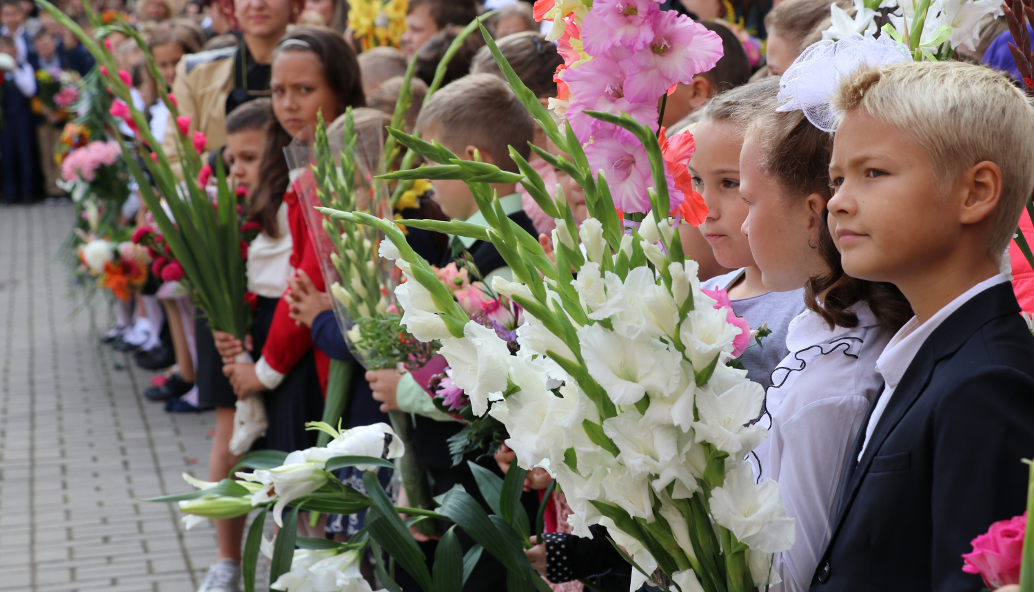 Zinību diena Ogres novadā