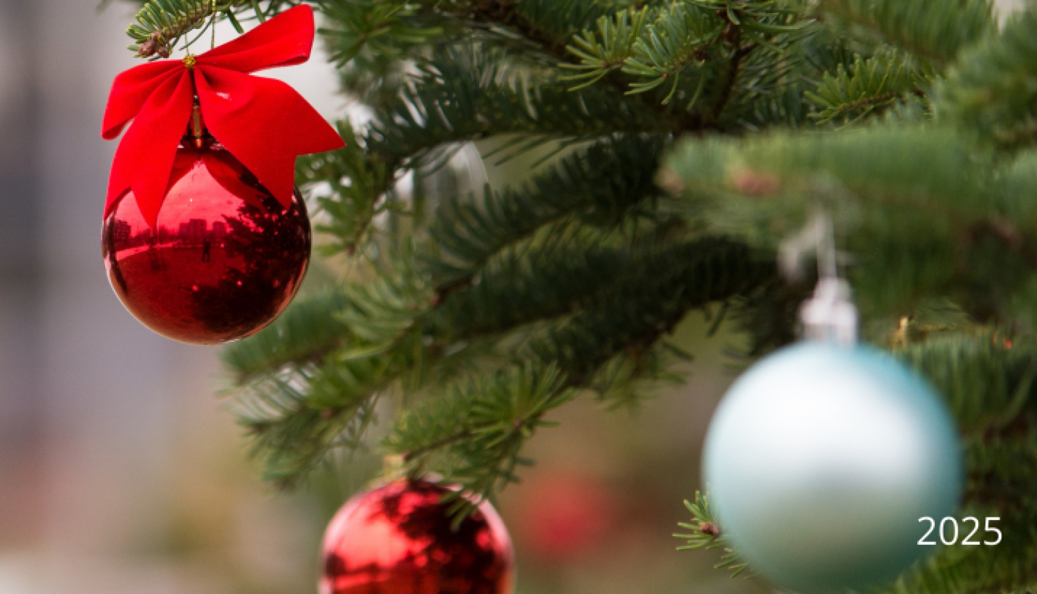 Akcija Ogresgalā "Neesi svētkos viens"