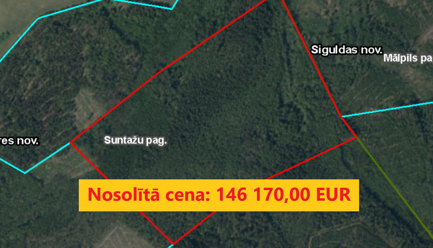 Izsoles rezultāts mežaudzes cirsmai "Auči" Suntažu pagastā. Nosolītā cena 146170 eiro