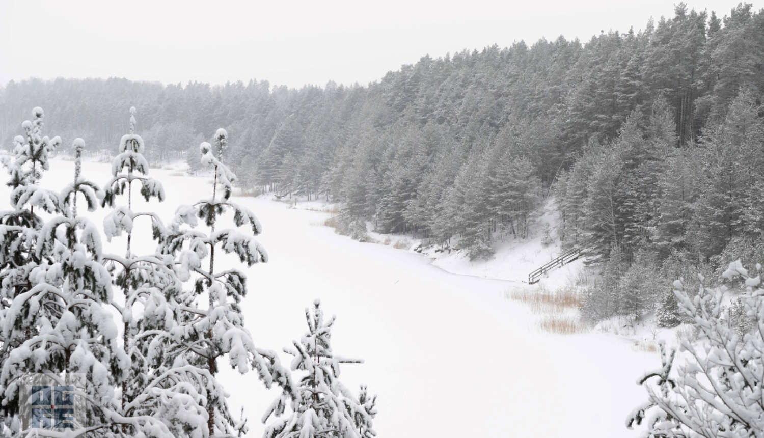 Sniegots ziemas skats uz aizsalušo Dubkalnu ūdenskrātuvi