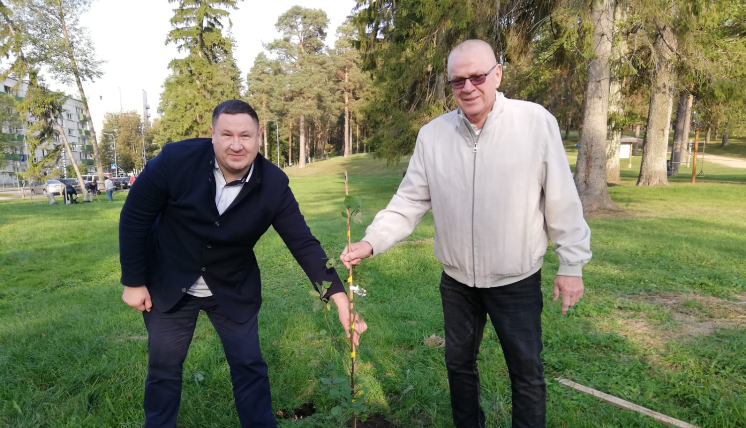 Atjauno mežaudzi Zilo kalnu pakājē