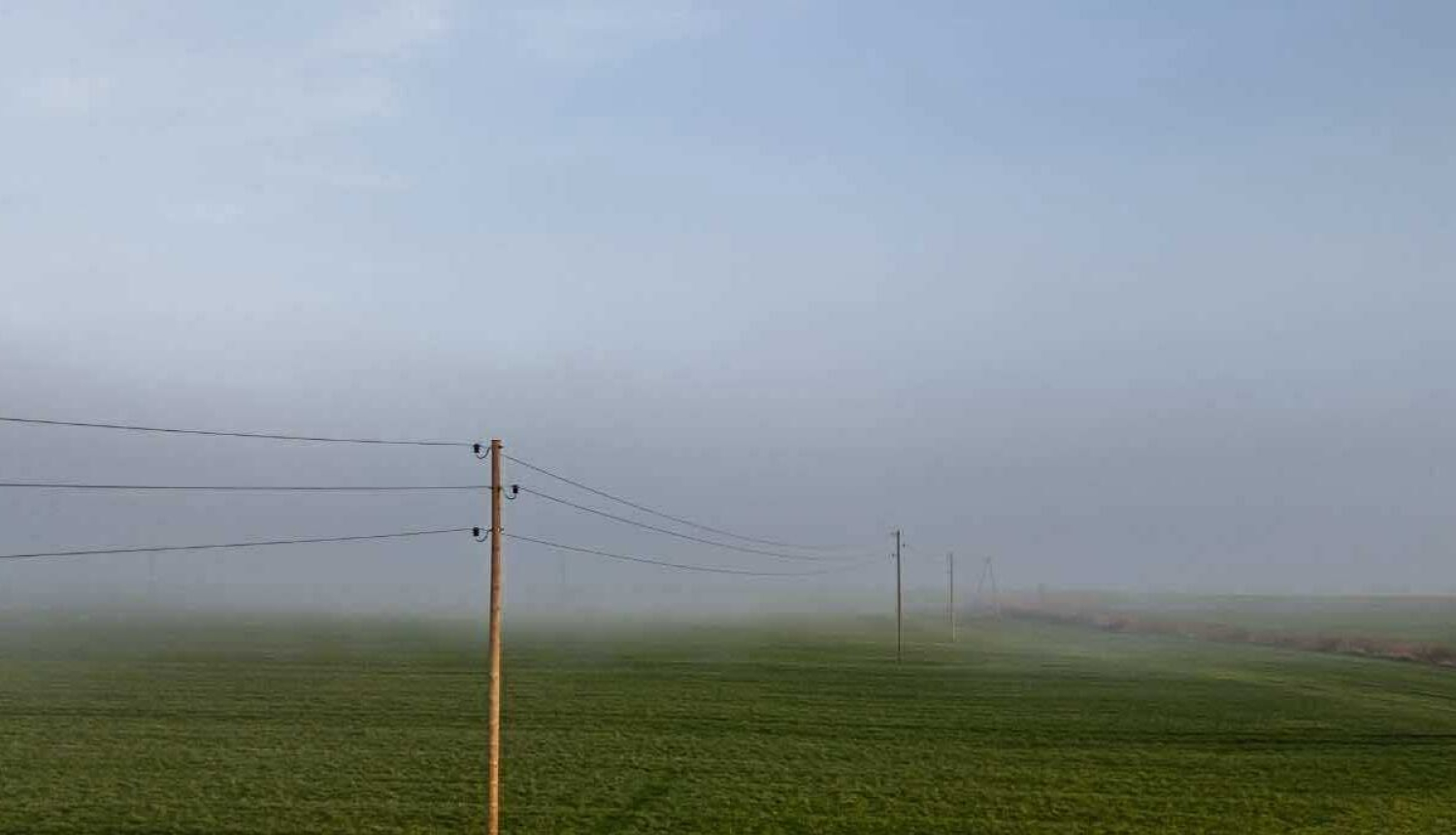 Zaļš lauks ar elektrības stabiem un vadiem